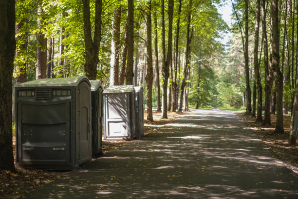 Best Affordable portable toilet rental  in Mountain View, NC